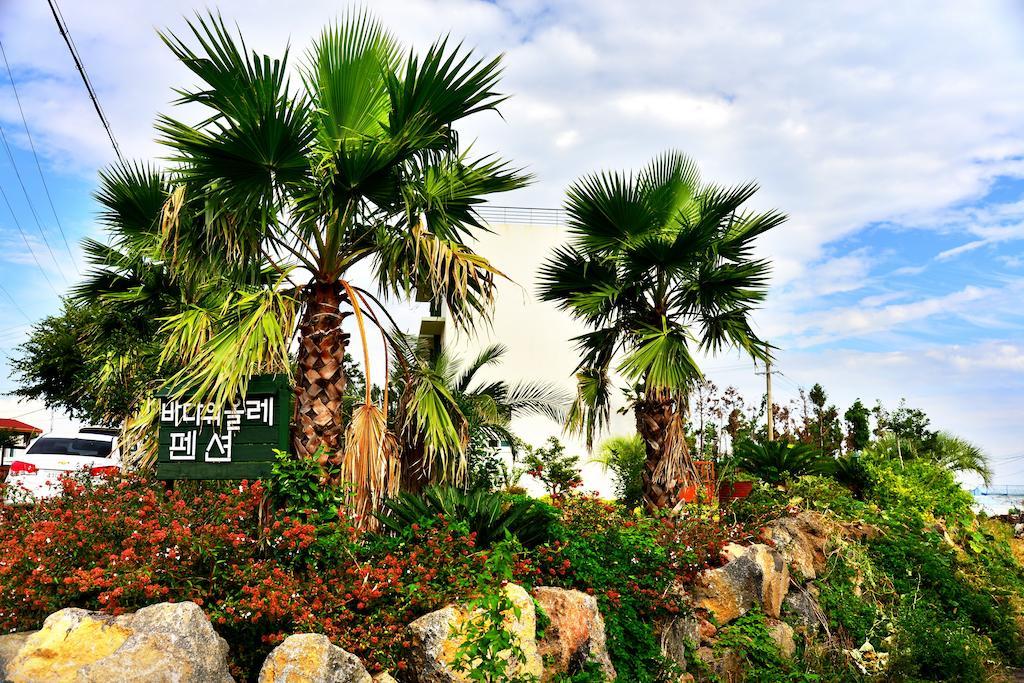Jeju Bada Wi Olle Pension Seogwipo Exterior foto